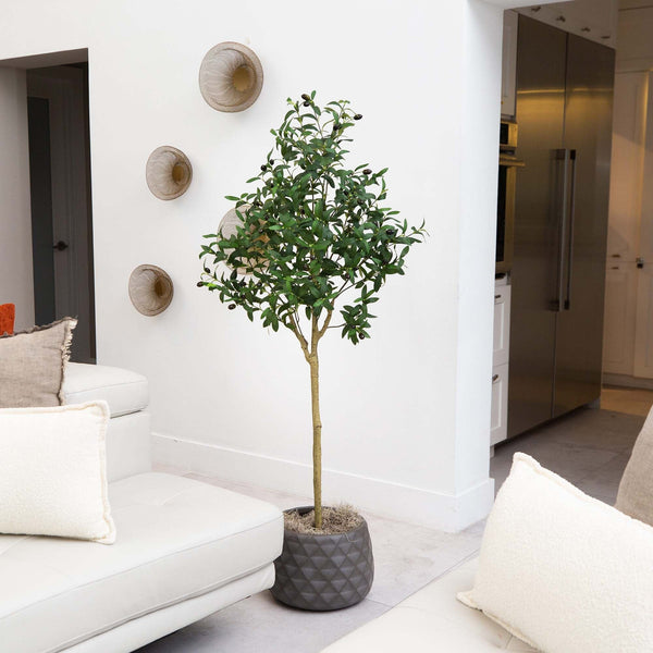 Faux Olive Indoor Tree