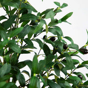Faux Olive Indoor Tree