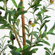 Faux Olive Tree Natural Trunk