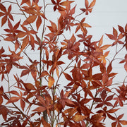 Artificial Autumn Japanese Maple Tree