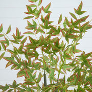 Autumn Nandina Artificial Indoor Tree