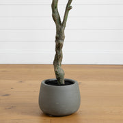 Artificial Autumn Dogwood Tree, Rust, 6 ft