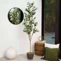 Faux Olive Tree Natural Trunk
