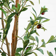 Faux Olive Tree Natural Trunk