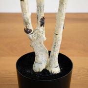 Real-Touch Artificial Birch Tree