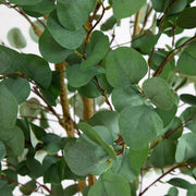 Tall Artificial Eucalyptus Indoor Tree