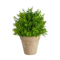 Faux Boxwood Plant Terracotta Planter