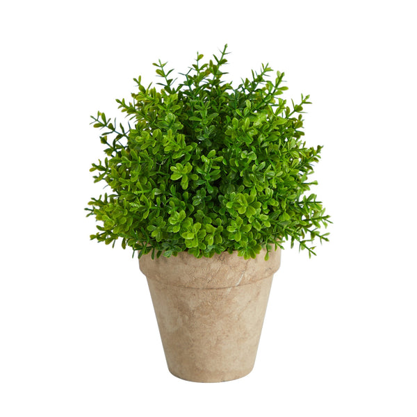 Faux Boxwood Plant Terracotta Planter