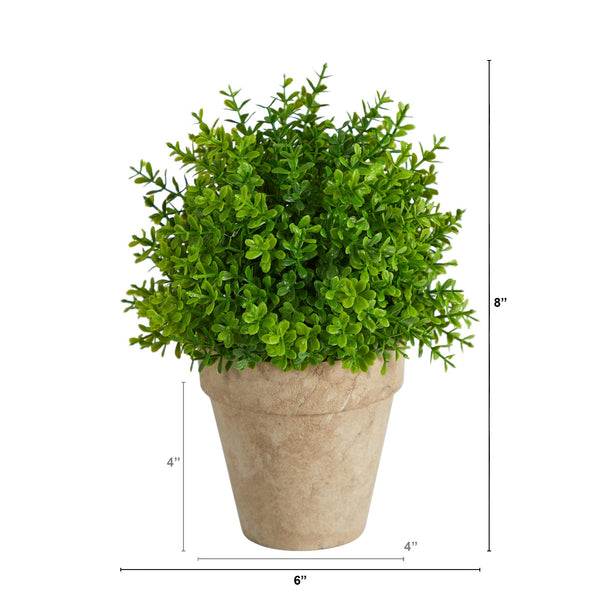 Faux Boxwood Plant Terracotta Planter