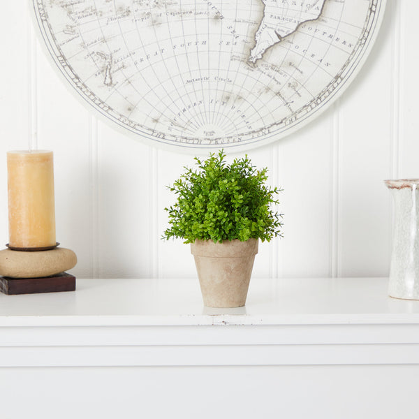 Faux Boxwood Plant Terracotta Planter
