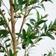 Tall Artificial Olive Tree