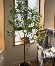 Faux Silk Potted Olive Tree