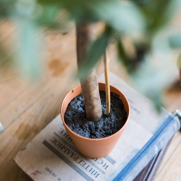 Faux Olive Topiary Potted Tree
