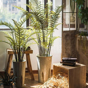 Faux Cyathea Fern Tree Pot