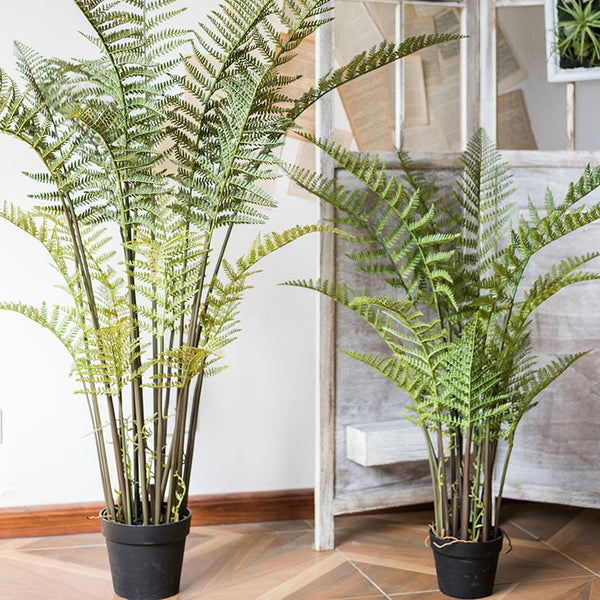Faux Cyathea Fern Tree Pot