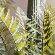 Faux Cyathea Fern Tree Pot