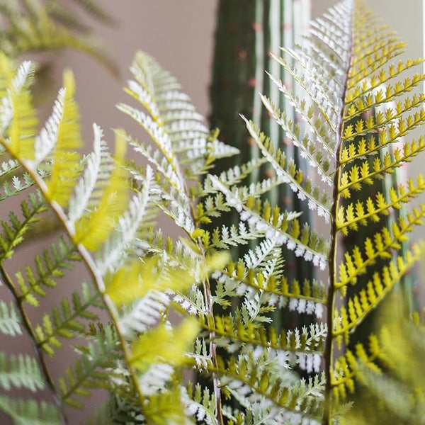 Faux Cyathea Fern Tree Pot