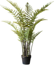 Faux Cyathea Fern Tree Pot