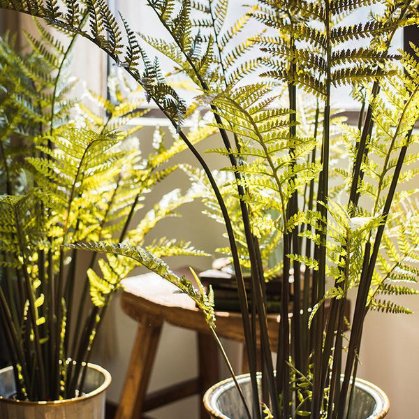 Faux Cyathea Fern Tree Pot