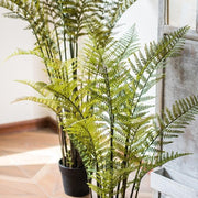 Faux Cyathea Fern Tree Pot