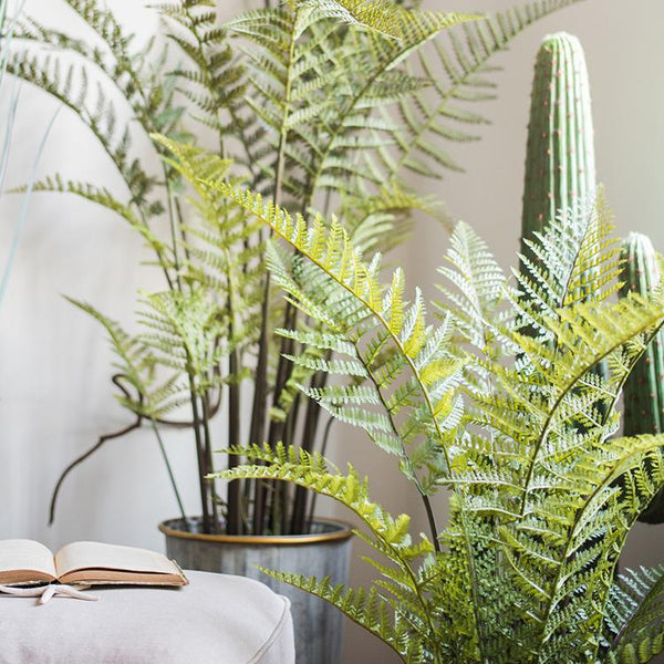Faux Cyathea Fern Tree Pot