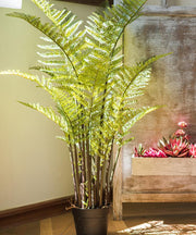 Faux Cyathea Fern Tree Pot