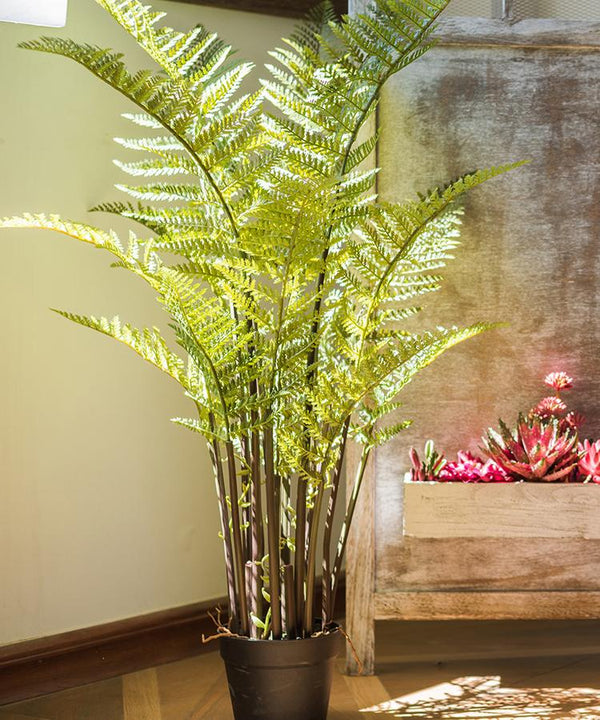 Faux Cyathea Fern Tree Pot