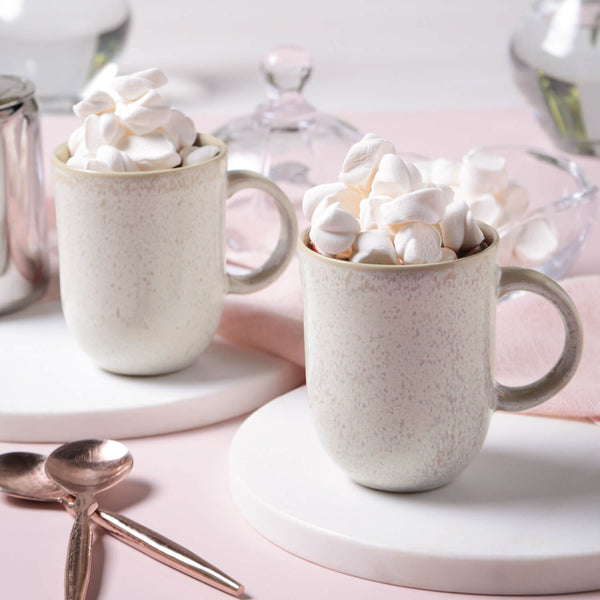 Speckled Ceramic Mug Set of Four