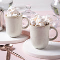 Speckled Ceramic Mug Set of Four