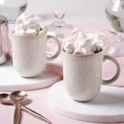Speckled Ceramic Mug Set of Four