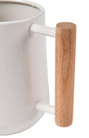 Stone Finish Indoor Watering Can