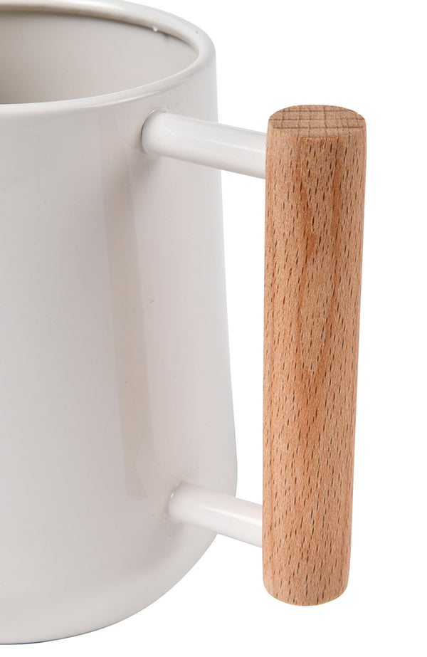 Stone Finish Indoor Watering Can
