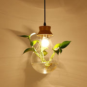 Terrarium Glass Globe Pendant Light