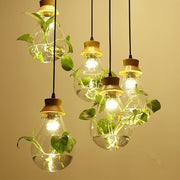 Terrarium Glass Globe Pendant Light