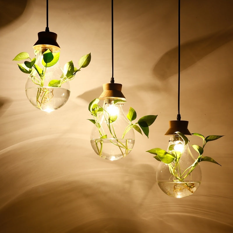 The lamp that grows something while it glows