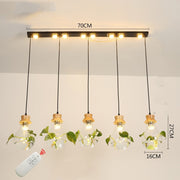 Terrarium Glass Globe Pendant Light