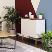 Mid-Century Two-Door Accent Cabinet