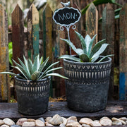 Hand-Etched Cement Planter