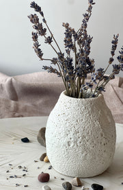 Crater-Glaze Porcelain Vase Collection