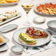 Speckled Ceramic Dinner Plate Set