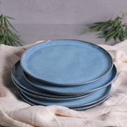 Speckled Ceramic Dinner Plate Set