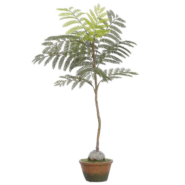 Faux Jacaranda Fern Tree — Cement Pot