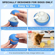 Motion-Activated Rolling Plush Pet Ball