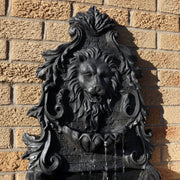 Cast-Stone Finish Lion Head Wall Fountain