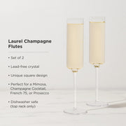 Lead-Free Crystal Champagne Flute Set