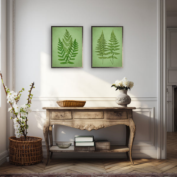 Botanical Fern Silver-Frame Print