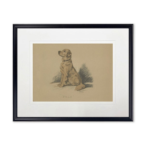 Vintage Dog Sketch Framed Print