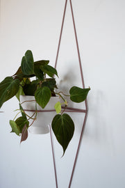 Diamond-Form Wire Wall Planter — detail of finish and surface variation