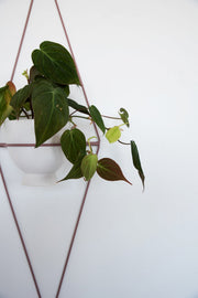 Diamond-Form Wire Wall Planter — styled in a complete room vignette