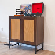 Rattan Door Two-Door Storage Cabinet